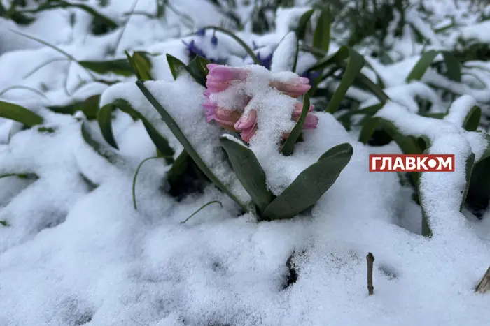 Märchenhaft der Winter im April: Die Ukraine wurde von Schnee bedeckt (Fotos, Videos)