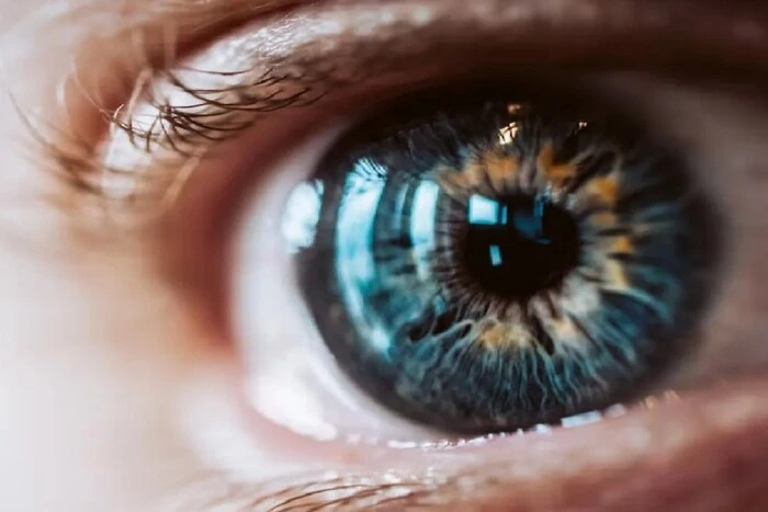 Scientists amazed with a unique color