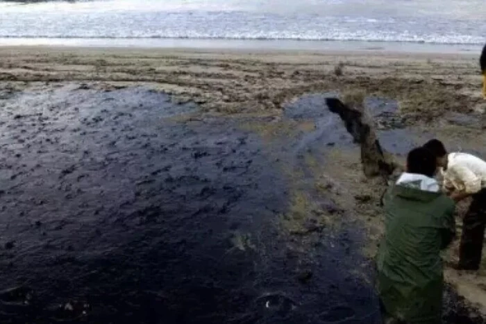 Beach polluted with oil