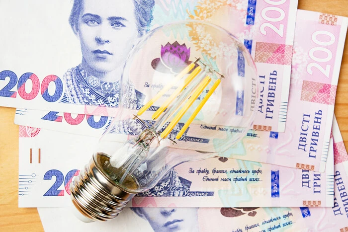 Borgs auf dem Energiemarkt werden ohne Eingreifen der Regierung nicht verschwinden - Experte