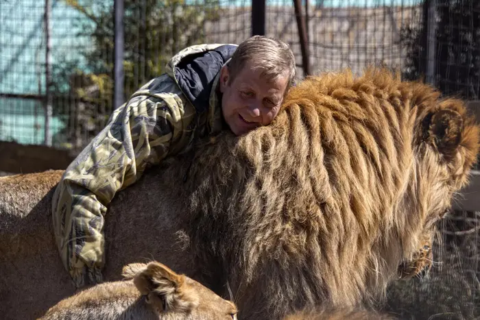 Lion attacked Oleg Zubkov in Crimea: collaborator seriously injured