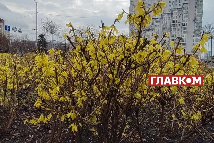 Veränderliche Bewölkung: Wettervorhersage für den 16. April