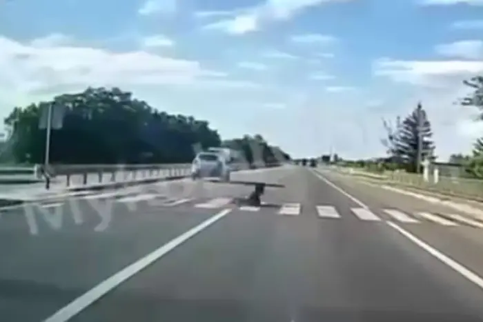 Na Lwowszczyźnie policja patrolowa potrąciła nieletniego (wideo)