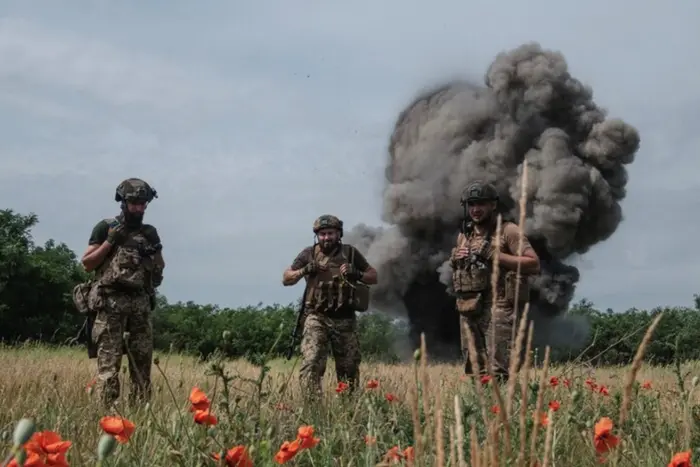 Enemy losses on August 17, 2024