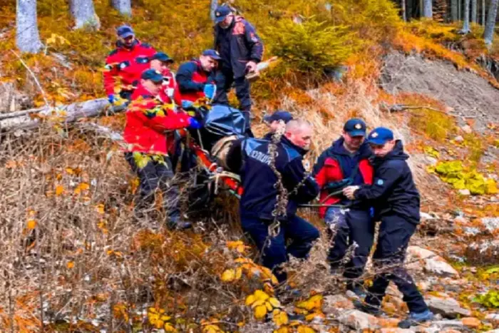 Rescue service searching for mushroom pickers in the Carpathians