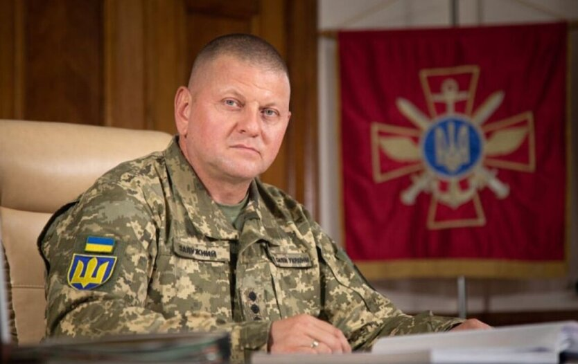 Залужный оценил идею снижения призывного возраста
