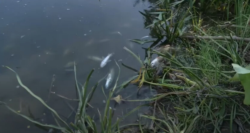 Запасайтесь: качество воды в Киеве