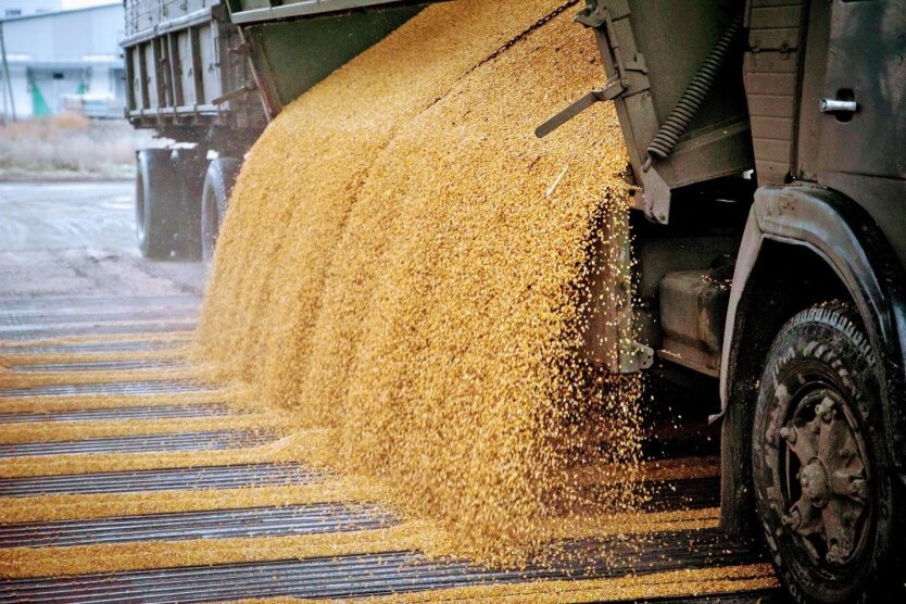 Der Preis pro Tonne für den Export von ukrainischen Agrarprodukten ist um das 1,4-fache gestiegen